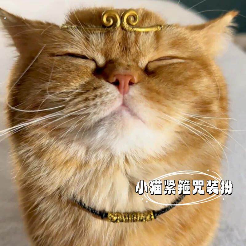 小猫装扮节日搞笑装扮孙悟空生日装饰拍照道具头箍猫咪狗宠物用品