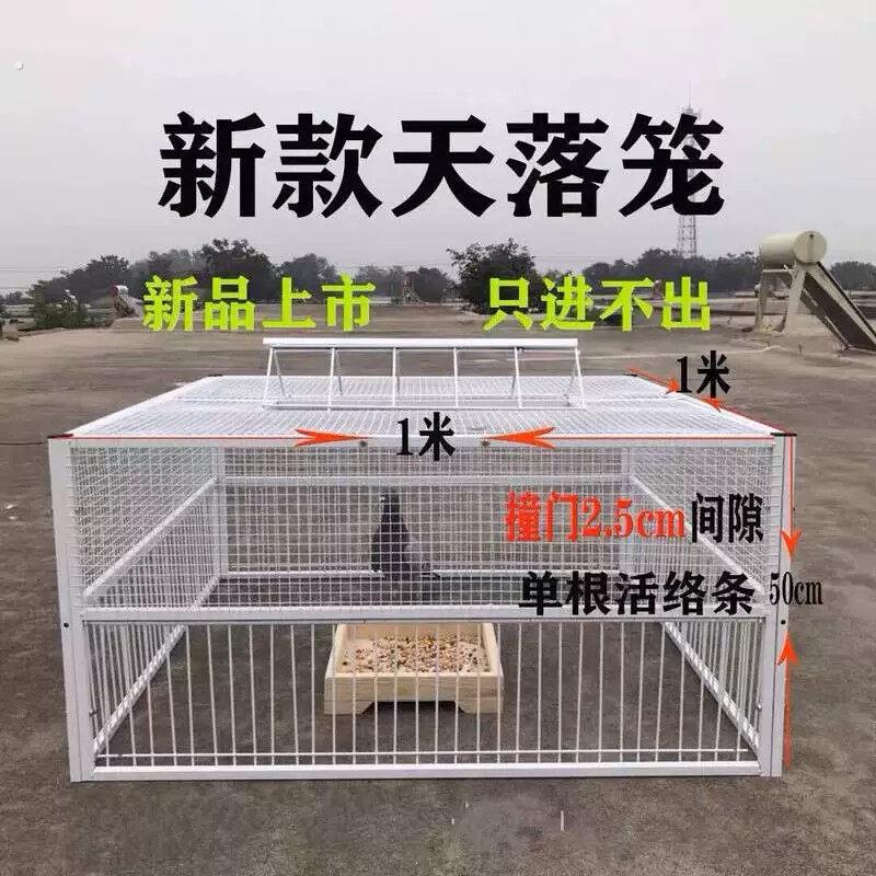 鸽子诱捕器天落笼只进不出鸽子笼加密收鸽笼活络门户外自动收鸽器