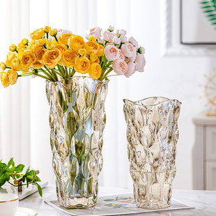 饰 北欧轻奢水晶透明玻璃花瓶摆件客厅插花富贵竹玫瑰百合鲜花装