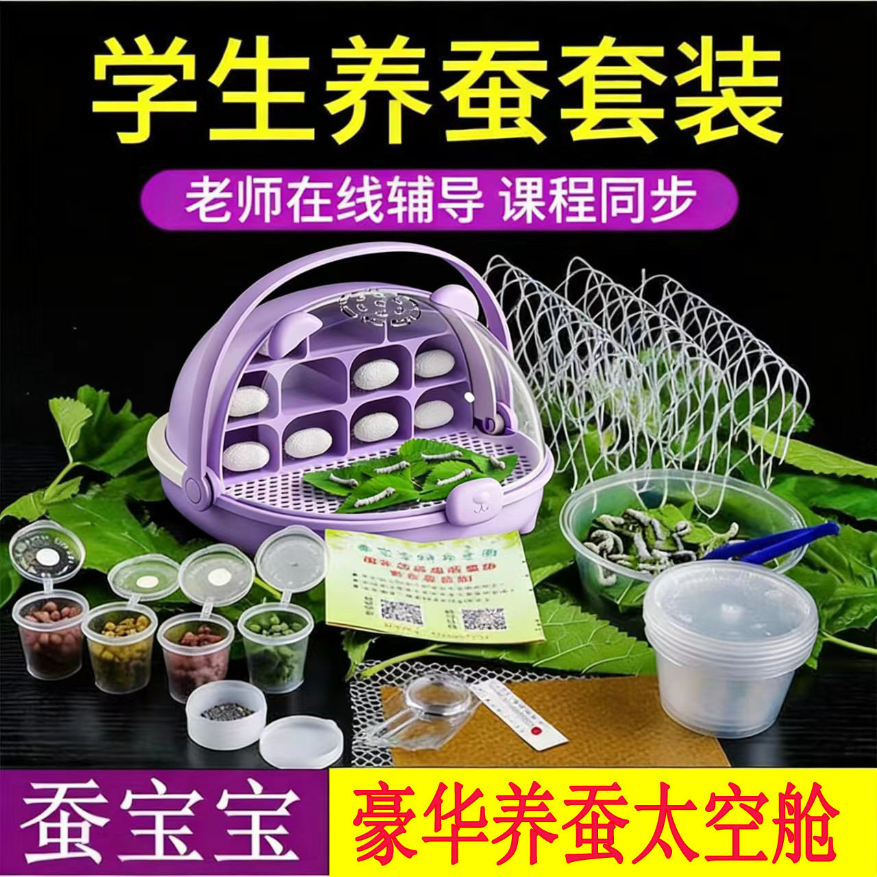 蚕宝宝豪华别墅太空舱学生养蚕套装活物蚕卵蚕籽幼蚕送新鲜桑叶