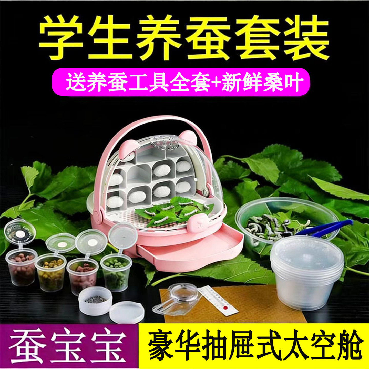 蚕宝宝豪华太空舱饲养盒学生养蚕套装蚕卵蚕种活体幼蚕送桑叶工具