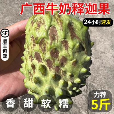 【老树花皮释迦果】新鲜正宗凤梨释迦5斤大果香甜软糯整箱 番荔枝