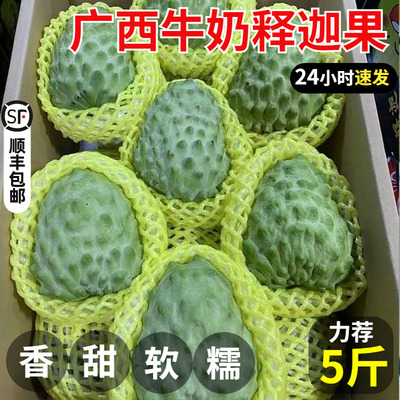 【广西牛奶释迦】新鲜水果正宗凤梨释迦5斤大果香甜精品整箱包邮