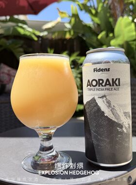 美国费登斯浑浊IPA精酿啤酒