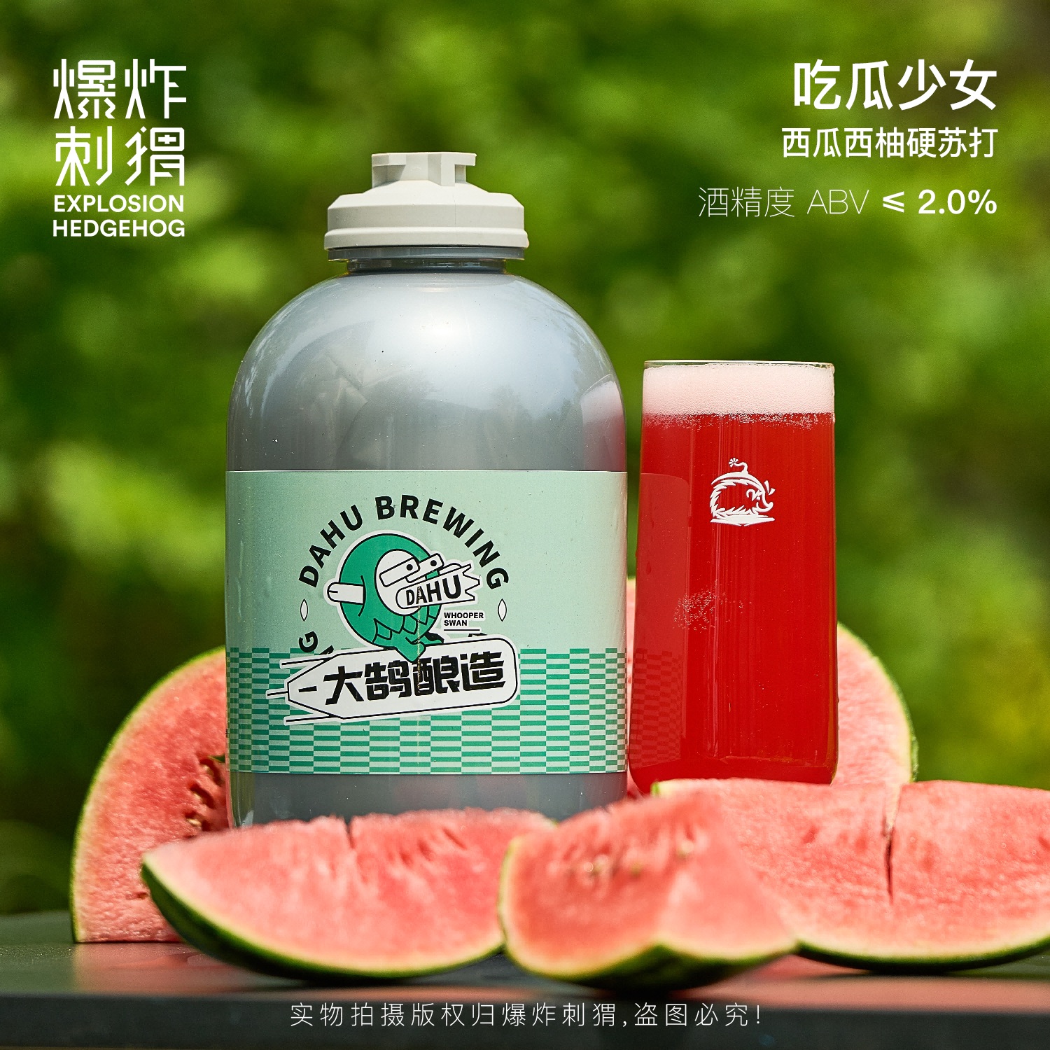 大鹄酿造 三升l太空桶生鲜精酿啤酒小麦/ipa/世涛/古斯