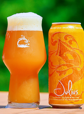 空运进口树屋僧侣 国王朱利叶斯等浑浊IPA/世涛 精酿啤酒