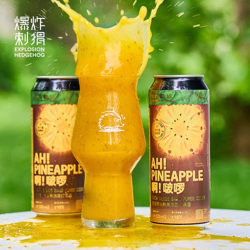 大九酿造果味精酿啤酒果酒