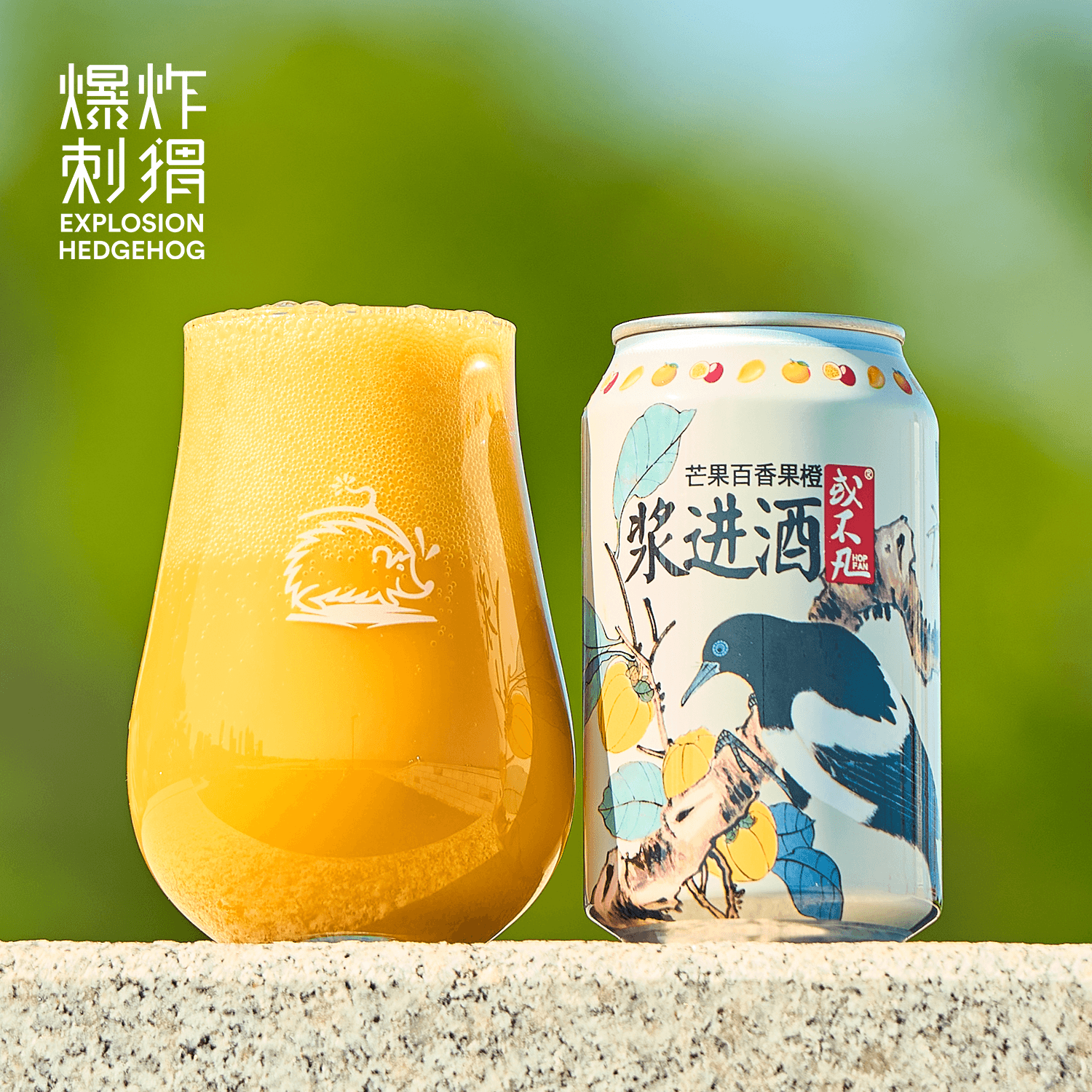 或不凡 芒果/树莓/杨梅浆进酒 果味浆啤果泥国产精酿啤酒