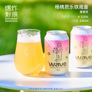 纸飞机 杨桃芭乐铁观音/佛手香柚茉莉康普茶气泡饮料