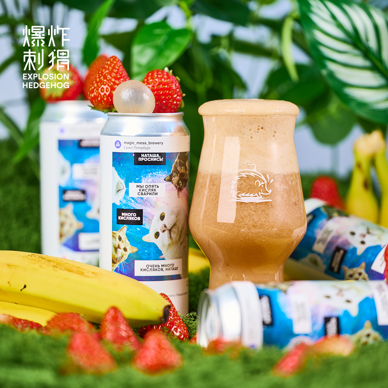 俄罗斯进口ins猫厂魔法风暴Magic Mess芒果果泥酸艾尔精酿啤酒