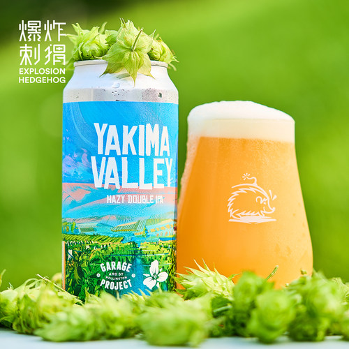 新西兰车库计划金兰姐妹精酿啤酒