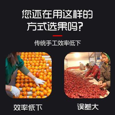新款全自动李子选果机商用果蔬筛选机圣女果脐橙槟榔分级机百香果
