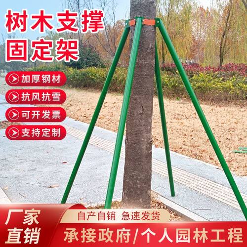 镀锌钢管园林绿化支撑树木支撑架大树防风支撑杆苗木固定器支架
