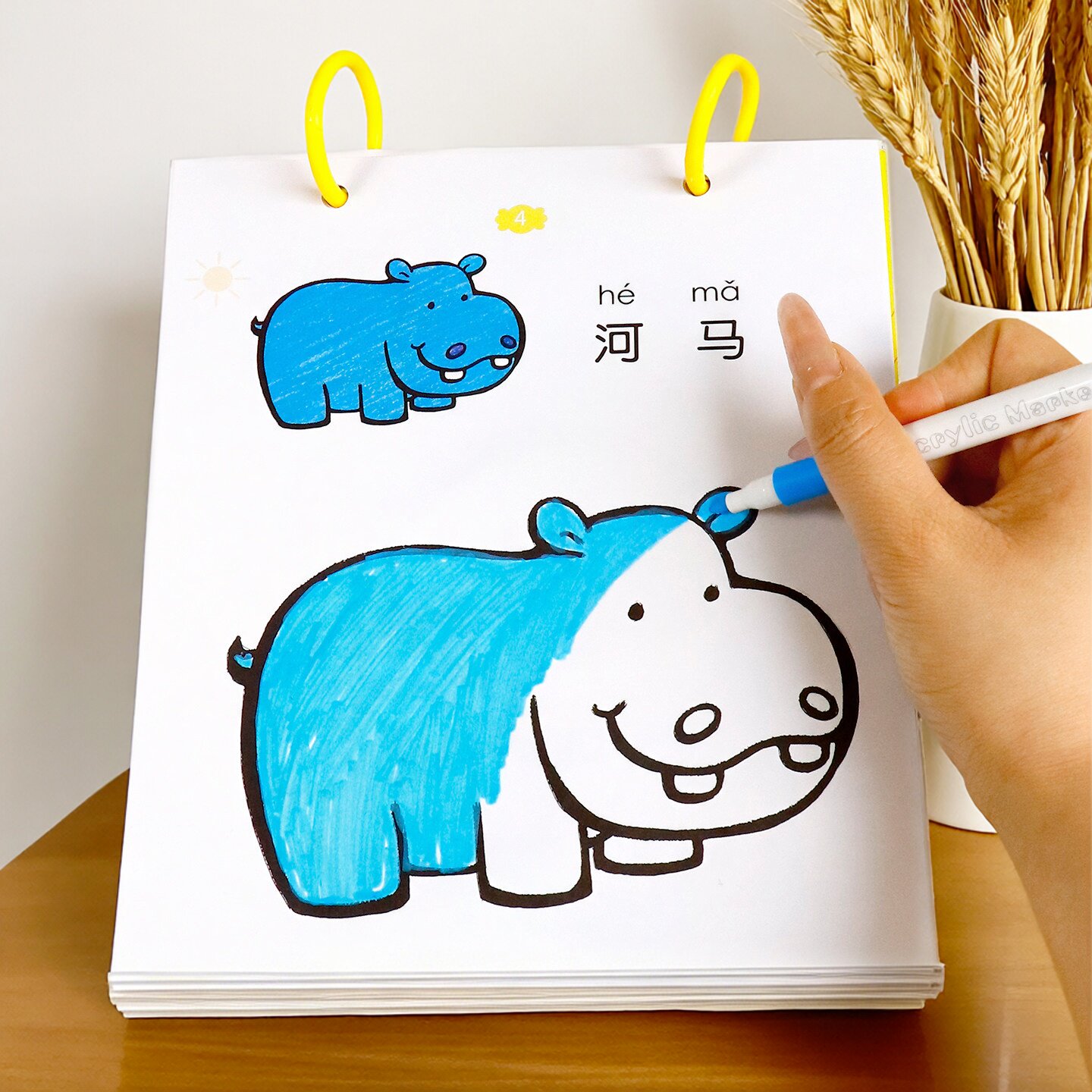 2-3到6岁儿童涂色画画本幼儿园专用马克笔描绘本填色画涂鸦图画书
