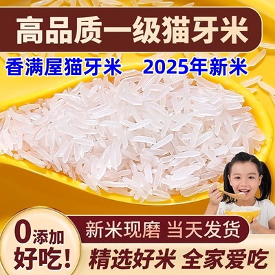 香满屋猫牙米茉莉香米100斤