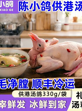 陈小鸽供港基地汤鸽乳鸽鸽子肉