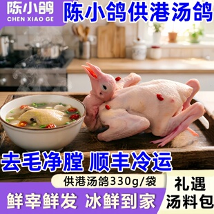陈小鸽供港基地汤鸽去毛净膛顺丰冷运营养丰富原粮饲养乳鸽鸽子肉