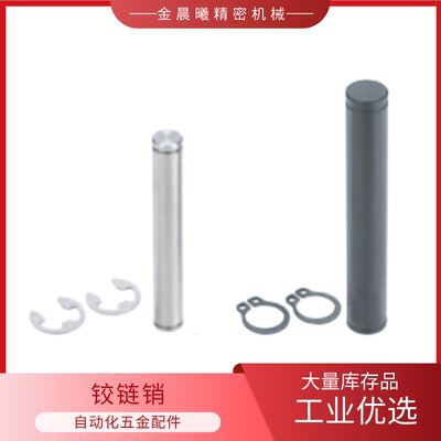 SCCGH铰链销直柱式扣环