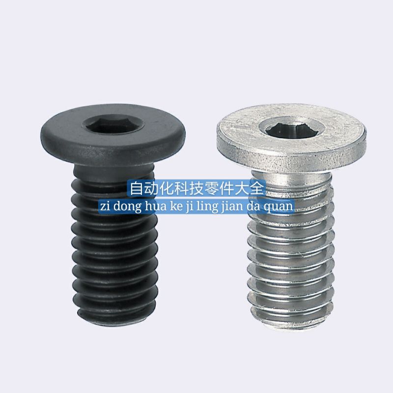 极低头螺丝CBSS2.5-3/46/