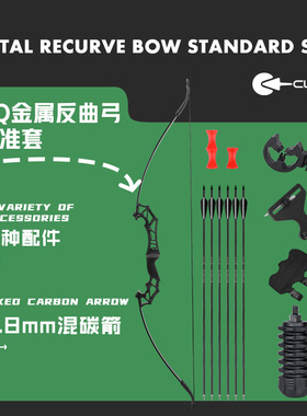 DQ金属反曲弓射箭套装新手入门射箭套装成人弓箭景区娱乐弓箭配件