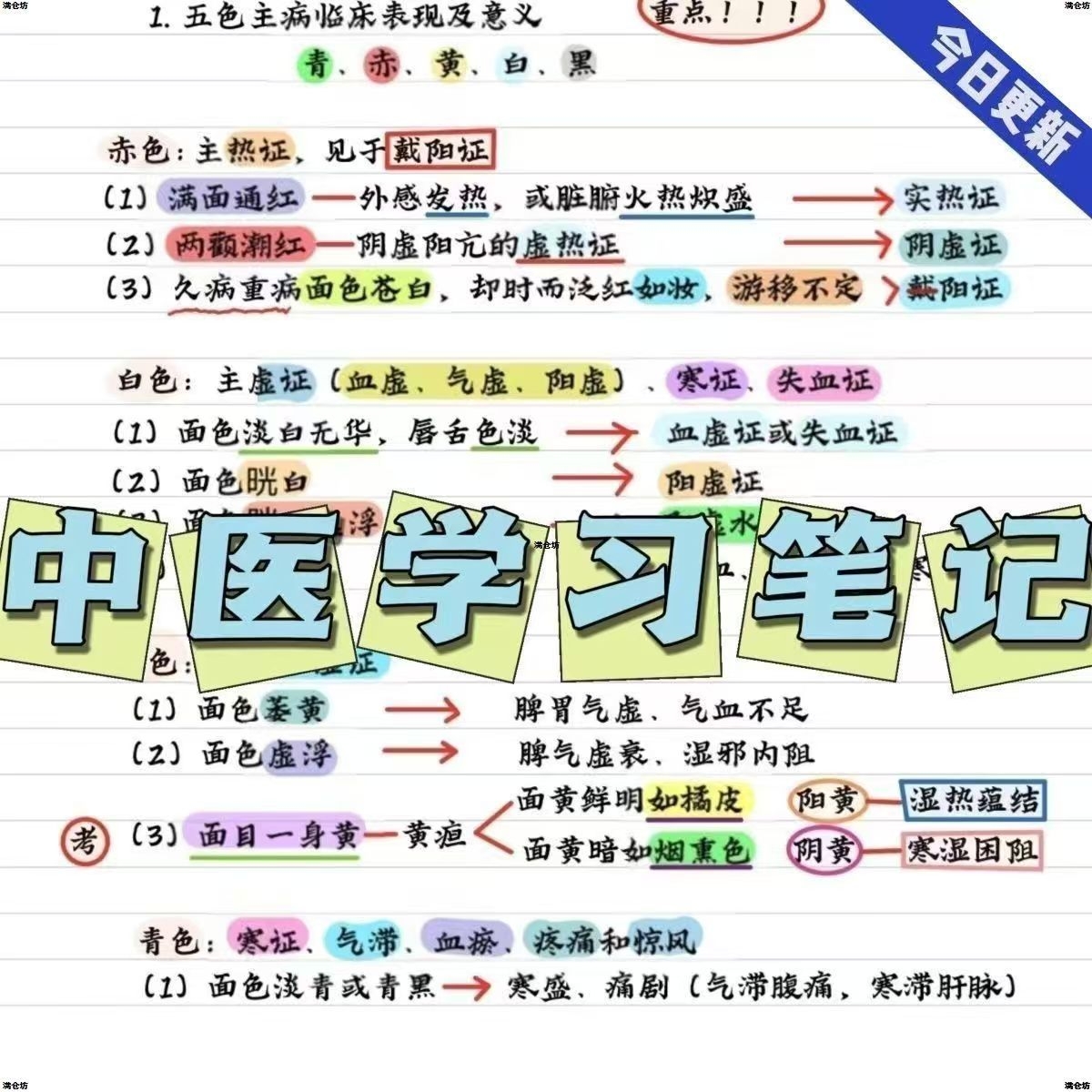 彩色中医手写笔记中医学理论中医学笔记资料参考中医考研学霸笔记