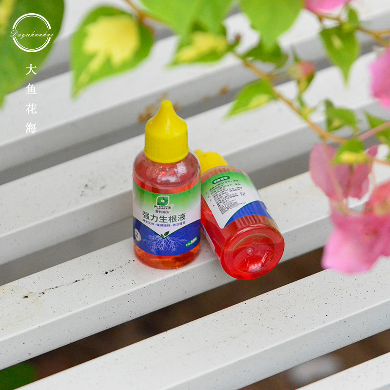 大鱼花海 生根液植物扦插生根剂树木通用生根粉移栽换盆壮苗,鲜花速递/花卉仿真/绿植园艺,家庭园艺肥料,淘宝优惠券,粉丝福利购,淘宝优惠卷