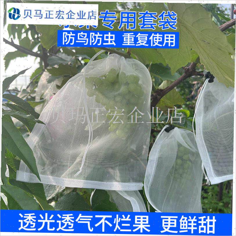 水果套袋a桃子专用袋果袋葡萄驱鸟神器芒果保护莲雾套袋防鸟防虫