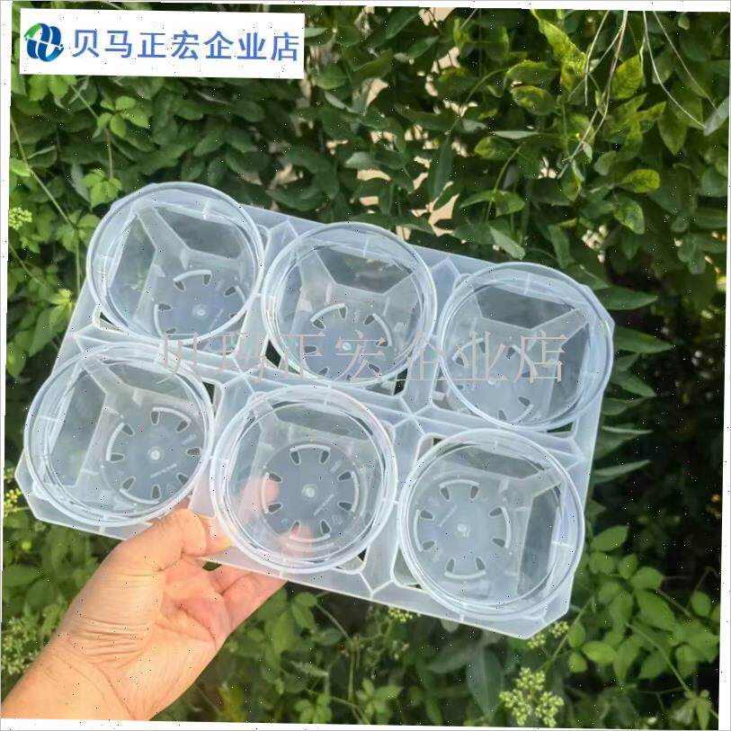 3英寸透明塑料j花盆组合支架蝴蝶兰GG石斛兰花切割试验根观育种