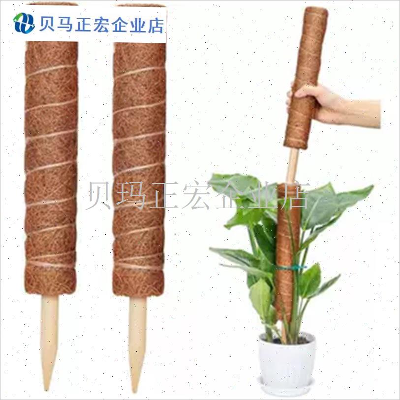 龟背竹支撑杆绿箩攀爬柱ts椰棕棒绿萝固定O植物爬藤棕榈柱防倒伏