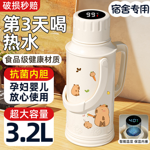 2025新款老式热水瓶大容量学生宿舍用暖茶瓶保温家用高颜值热水壶