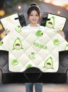 专用爱玛FX3Pro电动电瓶车挡风被冬季加绒加厚防雨防风罩四季通用