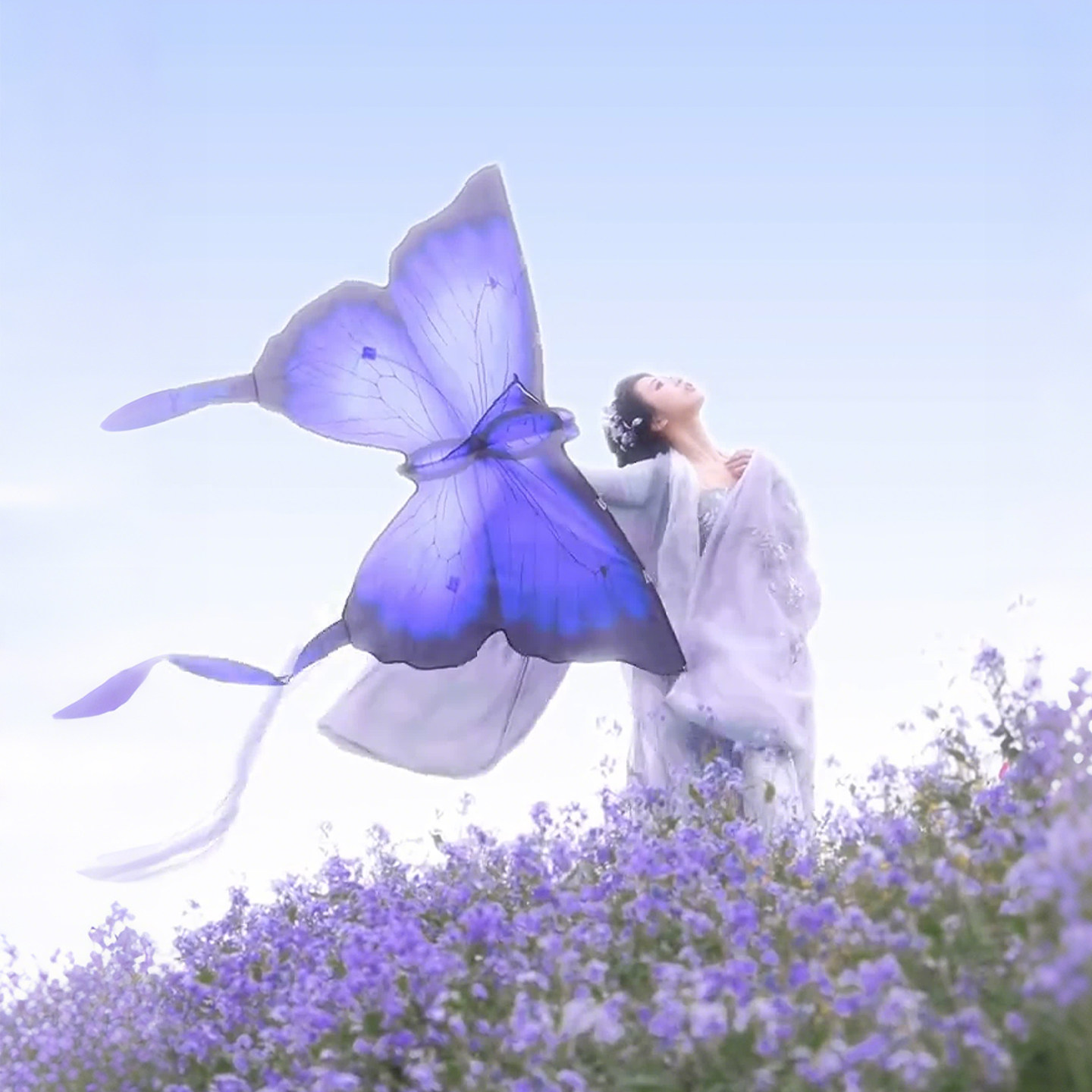 山东潍坊梦幻蝴蝶风筝儿童大人专用微风易飞中式纸鸢春游野餐拍照