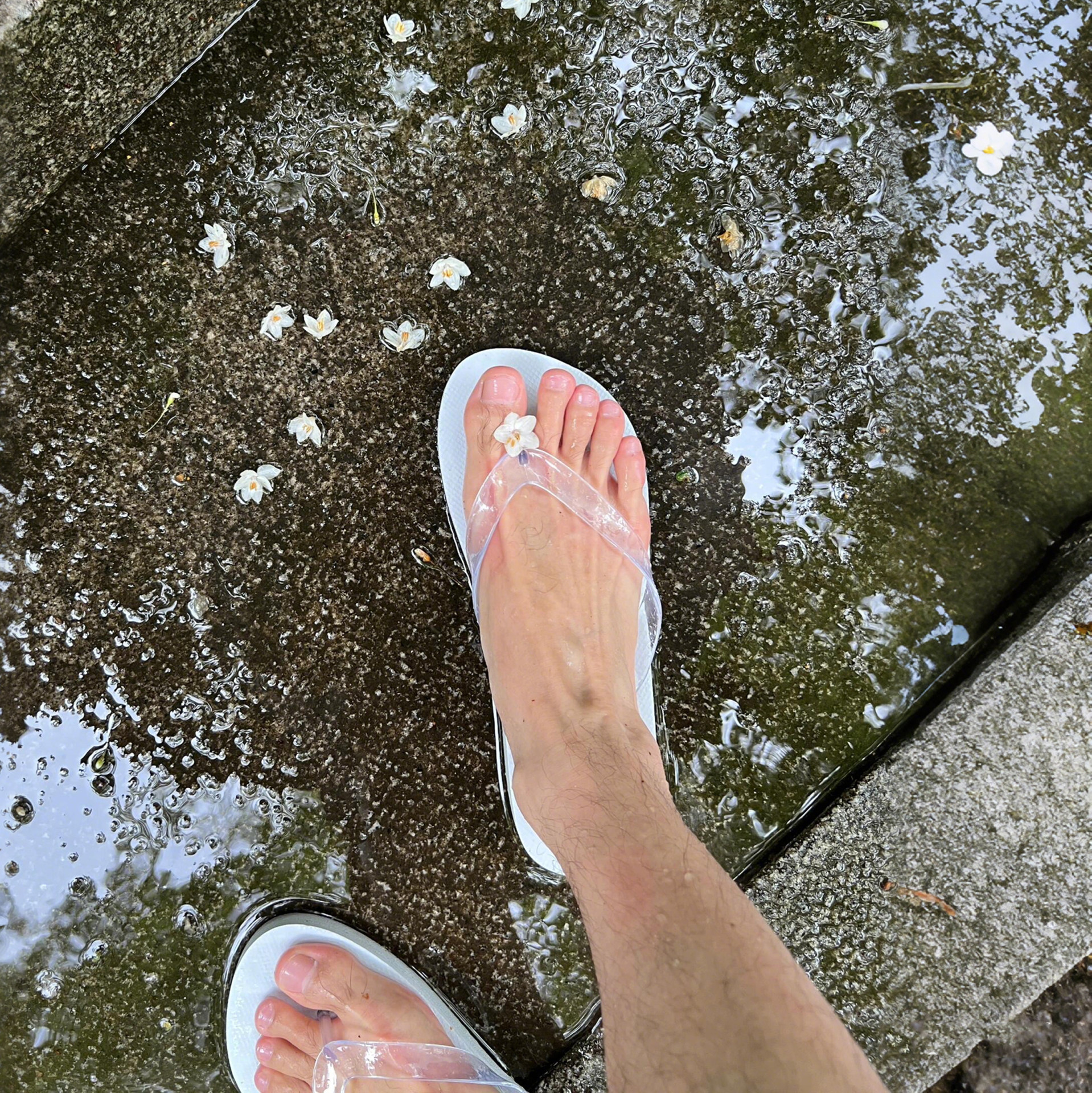 空气感人字拖高端拖鞋男外穿防滑防臭耐磨居家2026新款夹脚凉鞋