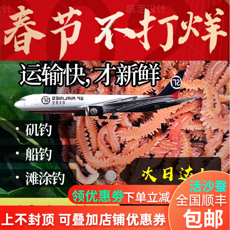 活沙蚕 红青虫鲈鱼饵 海蚂蝗海蜈蚣海钓鱼饵料海沙蚕活饵顺丰包邮