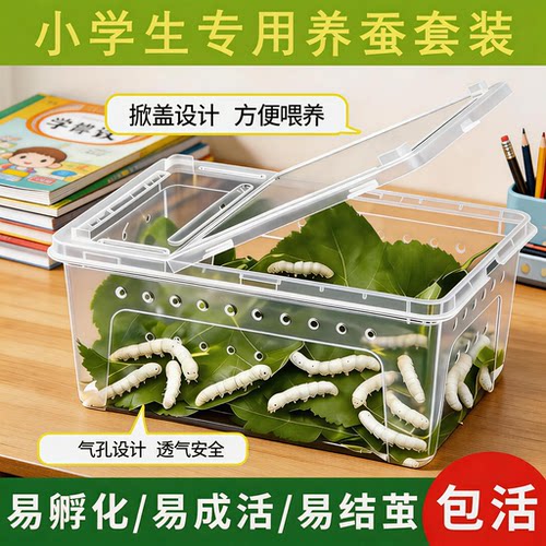 蚕宝宝饲养箱学生养蚕套装三年级下册全套工具蚕卵蝉宝宝幼虫房子