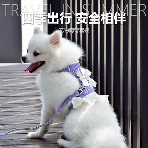 狗狗牵引绳HDHBXB 小型犬泰迪比熊博幼犬胸背 宠狗物链子遛美带狗
