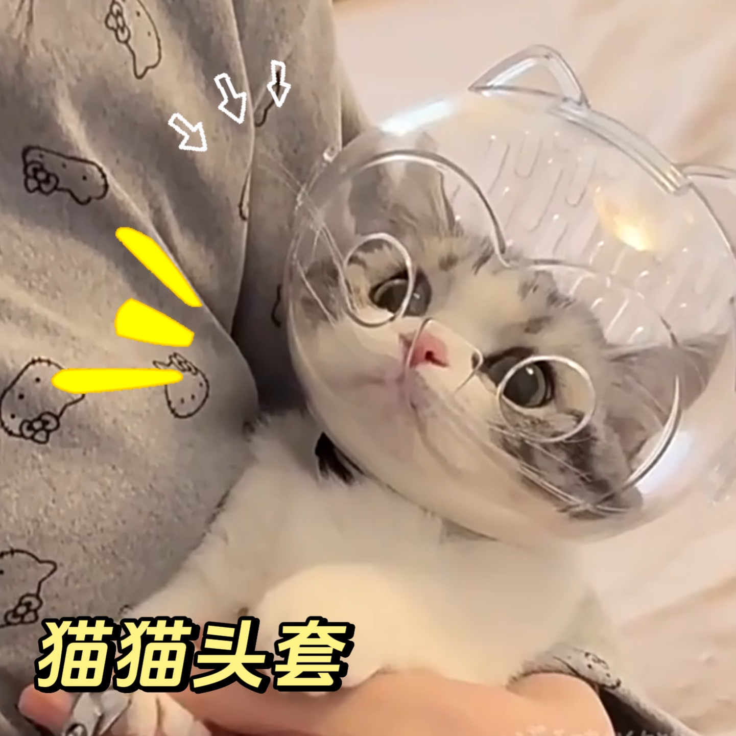 猫咪太空头罩防咬头套洗澡剪指甲