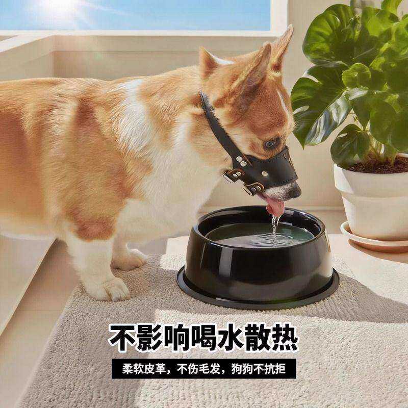 狗狗嘴套防咬防叫防乱吃大型中型小型犬小狗柴犬专用口罩止吠器