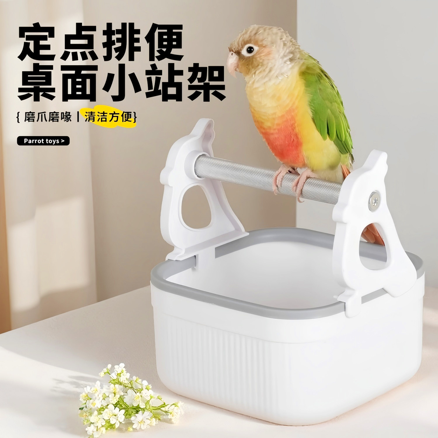 鹦鹉定点排便站架小太阳鹦鹉拉屎神器站杆兜屎训练鸟桌面垃圾厕所