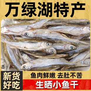 万绿湖生晒小鱼干农家野生淡水去肚小鱼干干货下饭下酒菜河源特产