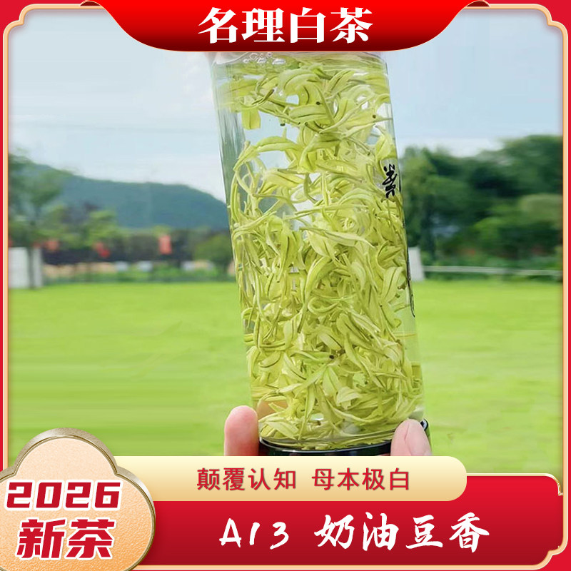 名理白2026新茶A13极白安吉白茶图片