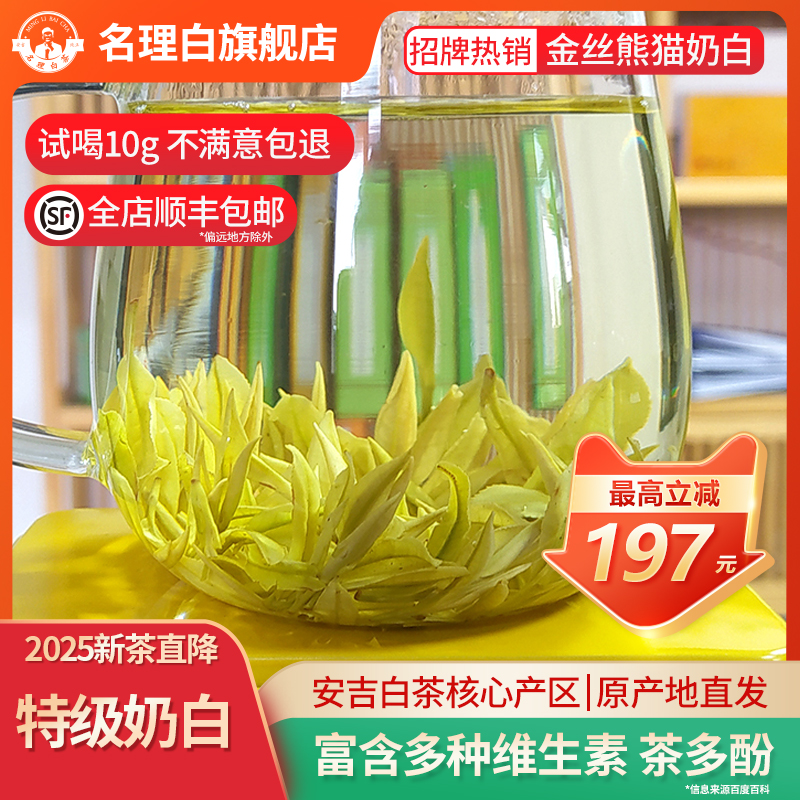 名理白金丝熊猫奶白茶2025新茶