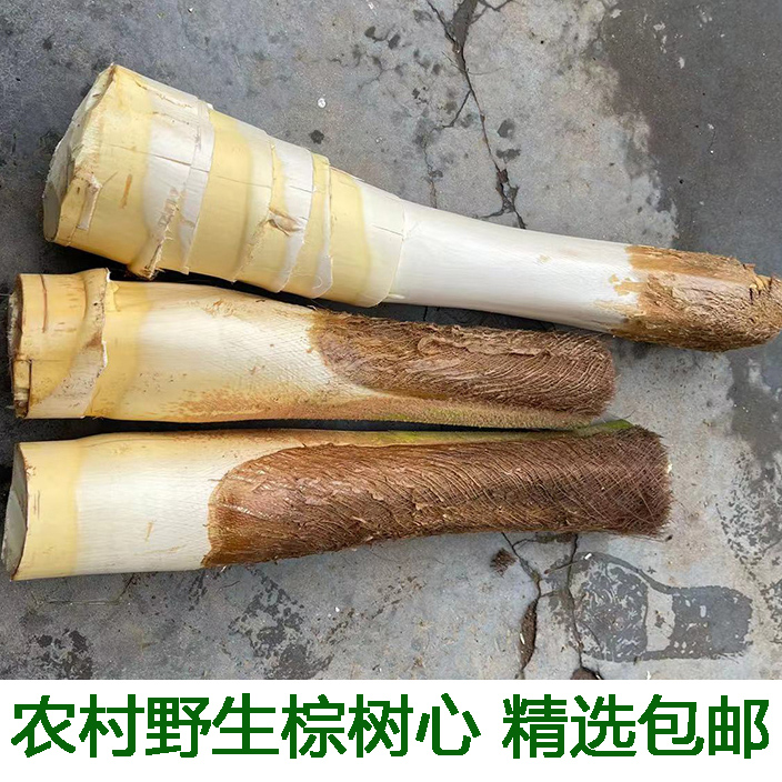 现砍新鲜棕树1个包邮diy