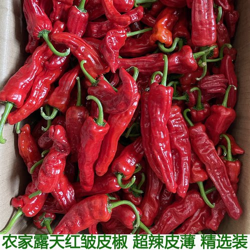 鲜红邹皮椒红椒超辣新鲜红辣椒红皱皮辣椒红尖椒小米椒椒薄皮剁椒