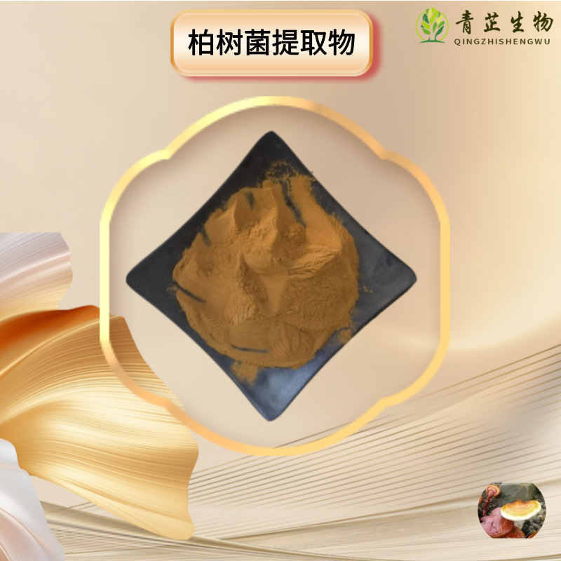 柏树菌多糖 柏树菌粉水溶粉多规格浸膏品质稳定 现发