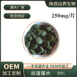 小球藻片蛋白核小球藻片250mg/片食品级观赏鱼鱼食