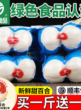 兰州百合新鲜百合500g食用甜百合生白合非百合干货甘肃特产级包邮