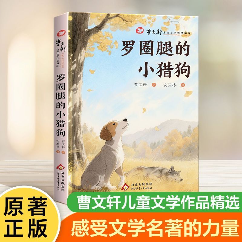 罗圈腿的小猎狗曹文轩儿童文学作品精选 适合小学生课外阅读书籍三四五六年级拓展读物青少年版5-6年级语文配套阅读故事书目