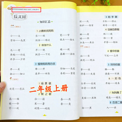 小学二年级上册字词强化练习册语文专项训练近义词反义词形近字同音字多音字词语汇总练习题知识总结专项练习册近反义词选词组词题