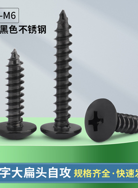 黑色304不锈钢TA十字大扁头自攻螺丝伞头蘑菇头螺钉M3M3.5M4M5M6